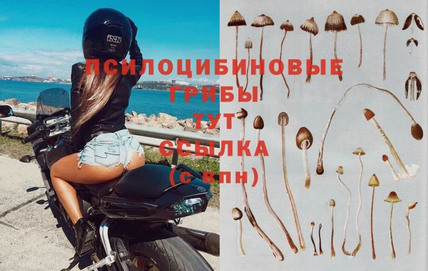 бутик Богданович