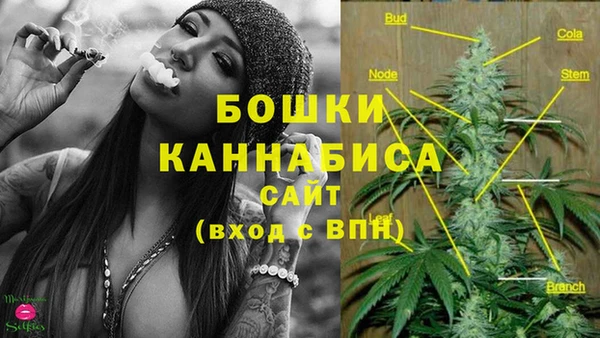 стаф Богородск