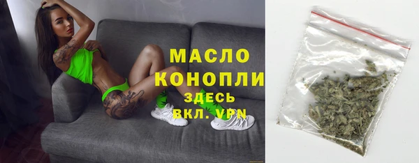 стаф Богородск